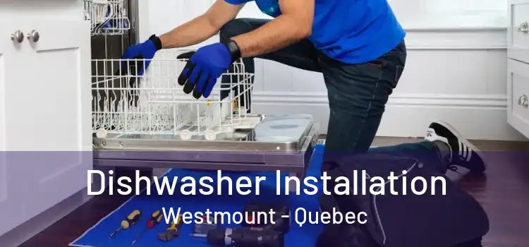 Dishwasher Installation Westmount - Quebec