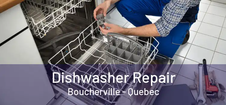 Dishwasher Repair Boucherville - Quebec