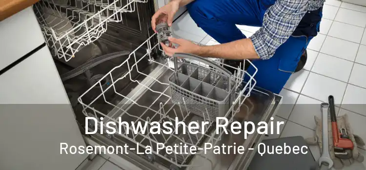 Dishwasher Repair Rosemont-La Petite-Patrie - Quebec