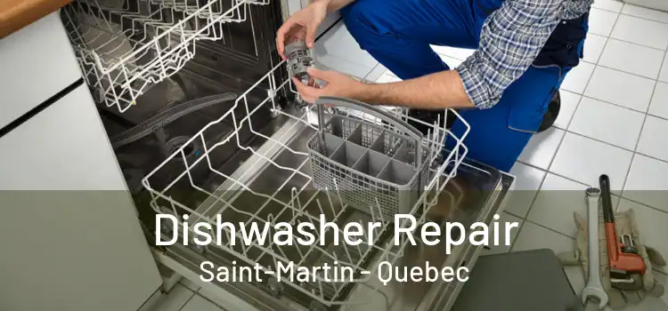 Dishwasher Repair Saint-Martin - Quebec