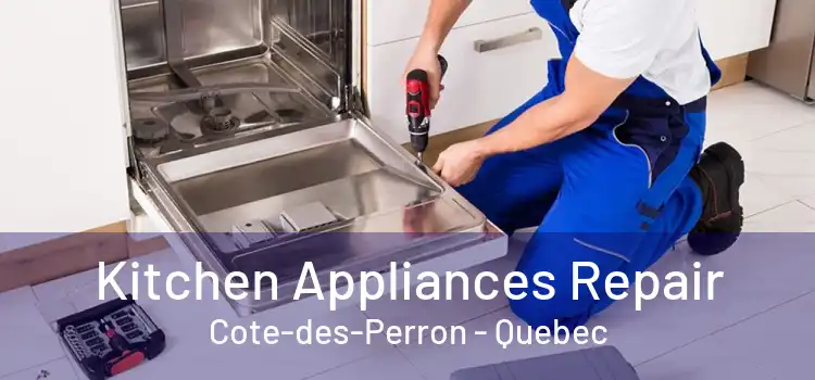 Kitchen Appliances Repair Cote-des-Perron - Quebec
