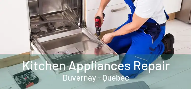 Kitchen Appliances Repair Duvernay - Quebec