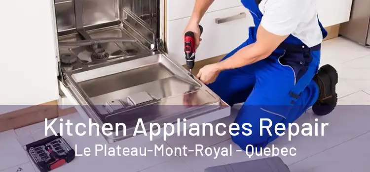Kitchen Appliances Repair Le Plateau-Mont-Royal - Quebec
