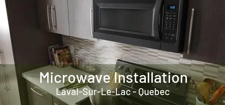 Microwave Installation Laval-Sur-Le-Lac - Quebec