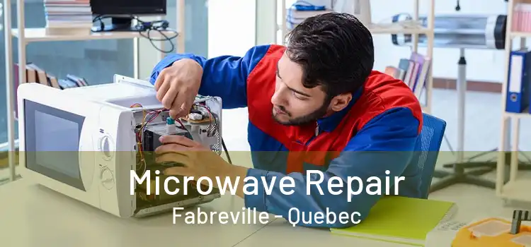 Microwave Repair Fabreville - Quebec