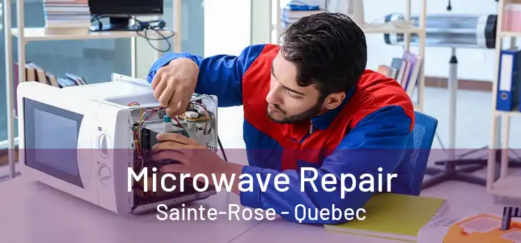 Microwave Repair Sainte-Rose - Quebec