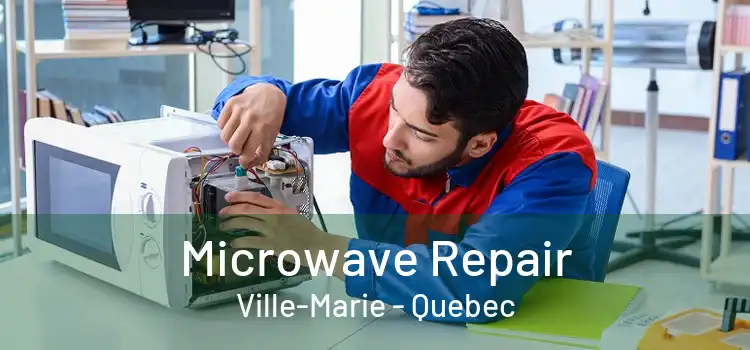 Microwave Repair Ville-Marie - Quebec
